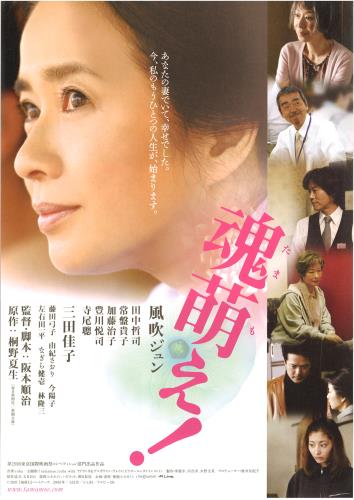 常盤貴子(Takako Tokiwa) - allcinema