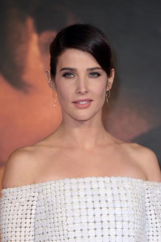 コビー スマルダーズ Cobie Smulders について 映画データベース Allcinema